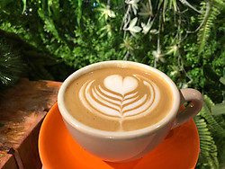 Roasted Hazelnut Latte