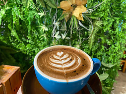 Peppermint Chocolate