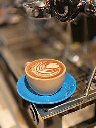 Salted Caramel Chocolate